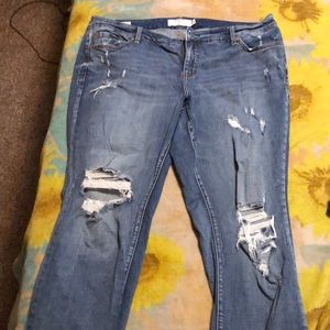 Torrid Jeans